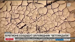 Природный заказник «Бетпакдала» создадут в Жамбылской области