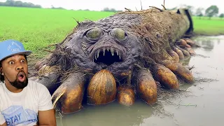 20 Strange Things Found In The Wetlands of Louisiana