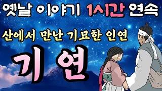 🌜중간광고 없는 옛날이야기 1시간🌛산에서 만난 기묘한 인연 '기연' ,잠자리동화,꿀잠동화,오디오북