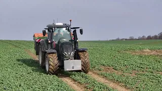 ROZSIEWANIE NAWOZÓW 2024 Valtra T215 AMAZONE ZA-V 2700