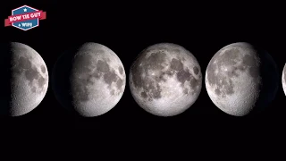 Moon Phases Educational Science Video for Kids by Bow Tie Guy & Wife