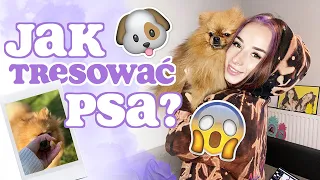 JAK WYTRESOWAĆ PSA? | Sylwia Lipka