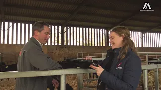 Attention To Detail At Calf Rearing