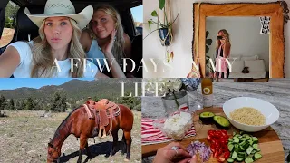 Few Days In My Life | Horse Riding, Sewing, Cooking