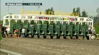 2022 T-Rex Kids Race