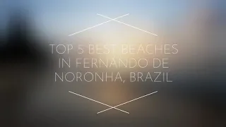 The 5 Best BEACHES in Fernando de Noronha, Brazil