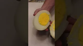 Worlds Largest Deviled Egg made with an Ostrich Egg