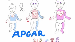 Understanding APGAR score, the best explanation with a mnemonic!