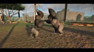 Western Lowland Gorilla Fight Planet Zoo