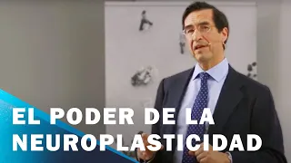 El poder de la neuroplasticidad para desplegar tu verdadero potencial | Mario Alonso Puig