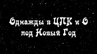 Однажды в ЦПКиО под Новый Год