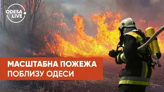 Пожежа у Нижньодністровському нацпарку / Нова пасажирська платформа / Чергова ротація на схід