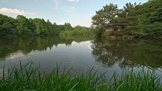 4K・ Day walk at Tokyo Shakujii・4K HDR