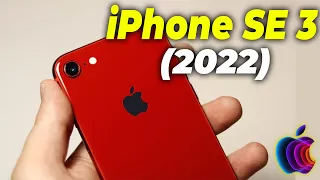 iPhone SE 3 2022 Özellikleri ve Fiyatı | 8 MART BÜYÜK GÜN!