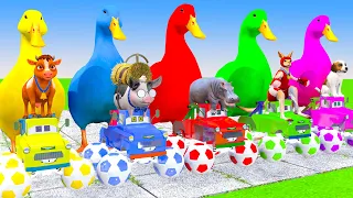 5 Giant Duck, Monkey, Piglet, chicken, dog, cat, lion, cow, Sheep, Transfiguration funny animal 2024