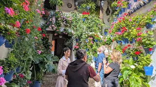 🇪🇦 Patios de Córdoba (The Courtyards Festival) Walk - San Basilio route 2024