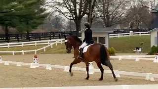 First Level Test 3 US Dressage Finals