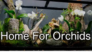 Making a Rehabilitation Terrarium for Orchids