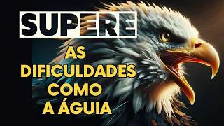 COMO SUPERAR SEUS LIMITES INTERNOS: A Águia e o Corvo em uma linda reflexão de vida!