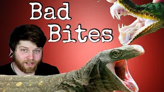 Top 5 Reptiles With The WORST Bite!