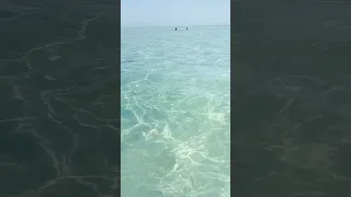 Как вам такая ВОДА??? How do you like this WATER???