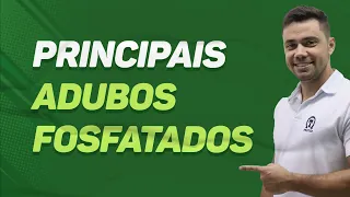 Principais ADUBOS FOSFATADOS