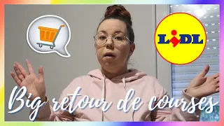 ♡ RETOUR DE COURSES LIDL FAMILLE NOMBREUSES [300€].