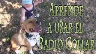 Aprendiendo a usar el Radio Collar. Curso de Adiestramiento Online. www.canine-service.com