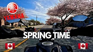 SPRING TIME RIDE IN THE CITY - RELAXING RIDE - YAMAHA MT-07