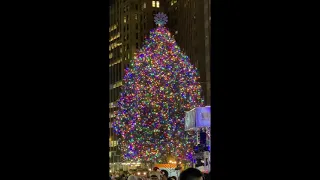 Wall Street New York Stock Exchange Christmas Tree Lighting December 1 2021