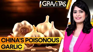 Gravitas | Is China smuggling poisonous garlic into India? | WION