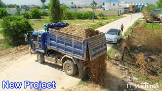 Getting New Project Filling Land Processing By Miniature Dump Trucks Unloading & Bulldozer Push Soil