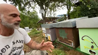 🐝”Allevamento API Regine”🐝 l’apicoltura di Fabrizio Fiorito Dronero #vallemaira