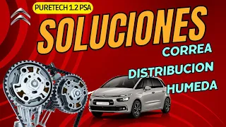 👋Novedades👋 sobre la Correa húmeda Citroën. Explicación y posible solución Motor 1.2 PSA  #Puretech