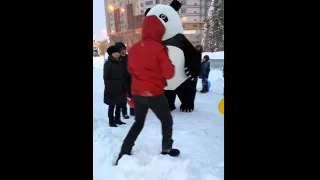 панда и медведь