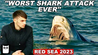 The Most Infamous Shark Attack Of All Time |  Hurghada Shark Attack Red Sea | Short Documentary