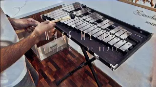 Avicii, Aloe Blacc - Wake Me Up (Glockenspiel Cover)