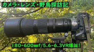 カメラ・レンズ・野鳥探訪記 180-600㎜f/5.6-6.3VR爆誕！！　秋の渡りや満月も添えて！