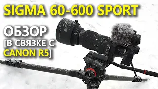 Обзор объектива SIGMA AF 60-600mm F4.5-6.3 DG OS HSM Sports