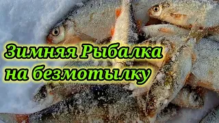 Думал Пустой Уйду☝Ловля рыбы на безмотылку зимой 👍