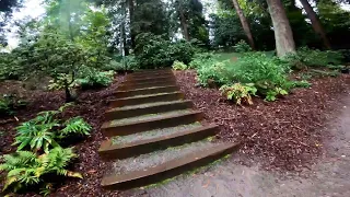 Осенняя прогулка в парке   под дождем . Washington Park Arboretum