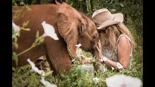 Sheldrick Wildlife Trust overview 2018 | Sheldrick Trust