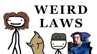 Weird Laws from Around the World By Sam O'Nella Academy Reaction