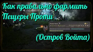 Black Desert / BD: Как фармить правильно Пещеры Проти