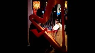 Joanna Jordan Electric Harpist at House of Moments