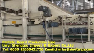 SINOTARPS Particle board production line