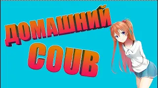 Домашний COUB #57