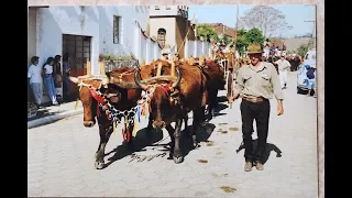 CONVERSANDO COM O POVO DA ROÇA - MANÉ PORCINO - SÃO SEBASTIÃO DO RIO VERDE - MG