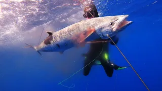 SPEARFISHING PELAGICS!! | HUGE Mackerel! | Raw Catch n Cook | Ep. 94