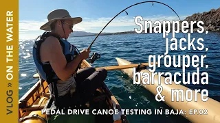 Pedal Drive Canoe Fishing in Baja: Snappers, Jacks, Groupers, Triggers, Barracuda and more!